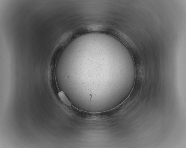 X0000111420738200907271142