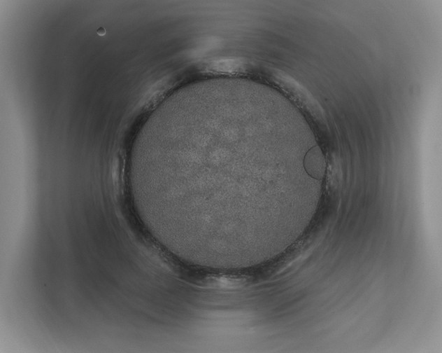 X0000111420739200907271142