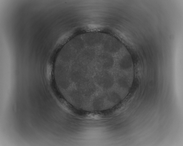 X0000111420742200907271143