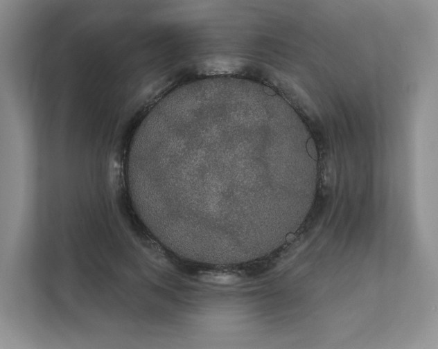 X0000111420743200907271143