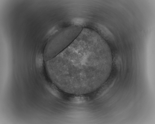 X0000111420744200907271143