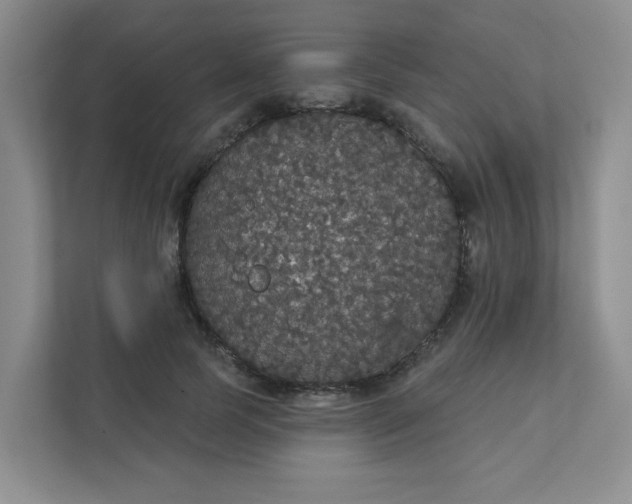 X0000111420745200907271143