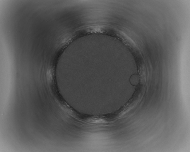 X0000111420747200907271143