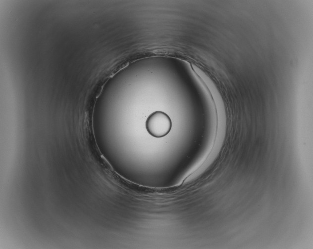 X0000111420748200907271143