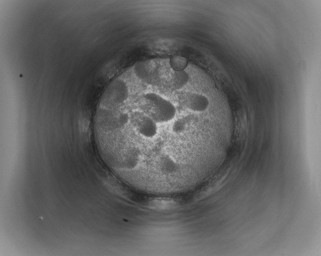 X0000111420749200907271143