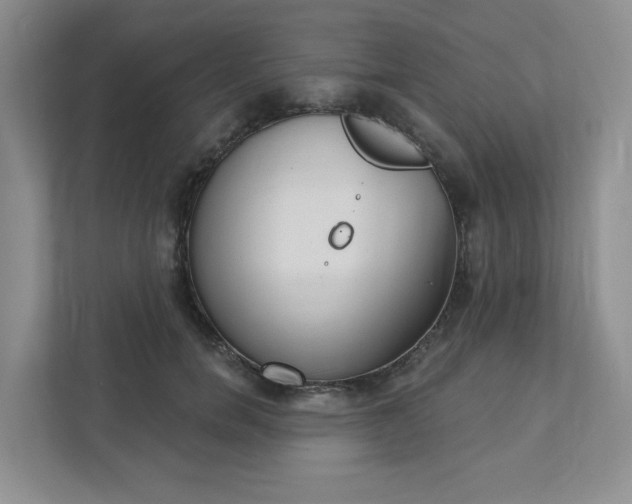 X0000111420750200907271143