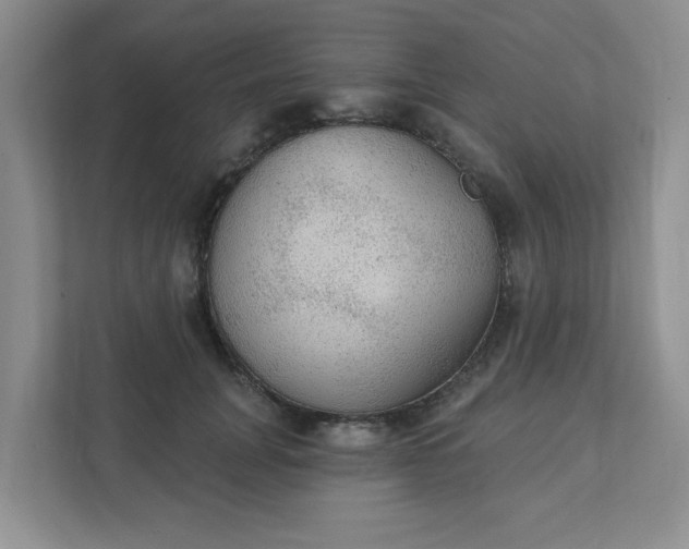 X0000111420751200907271143