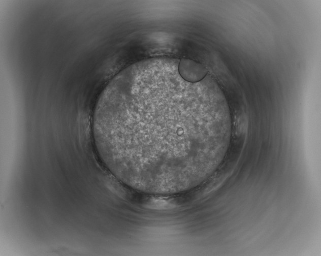 X0000111420753200907271143