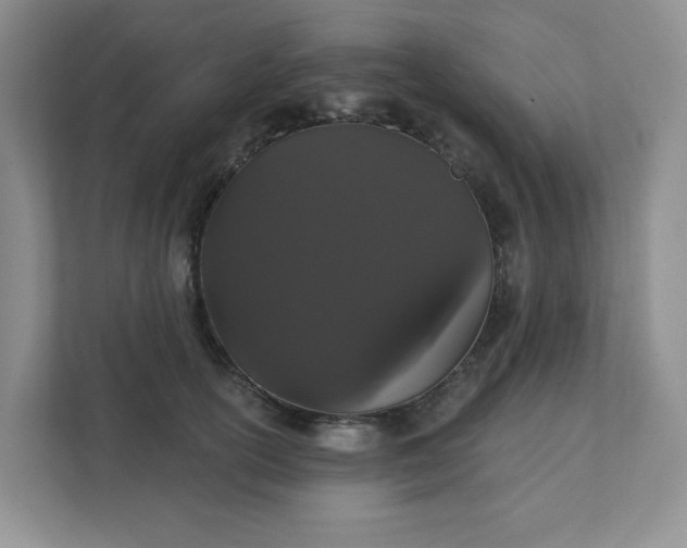 X0000111420754200907271143