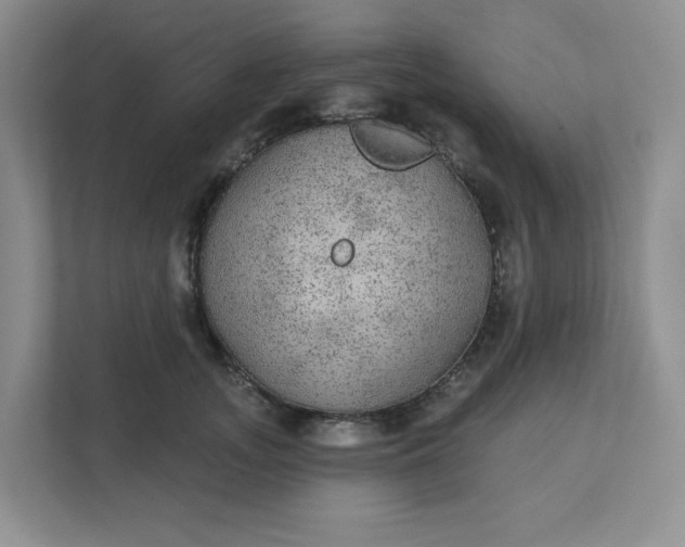 X0000111420755200907271143