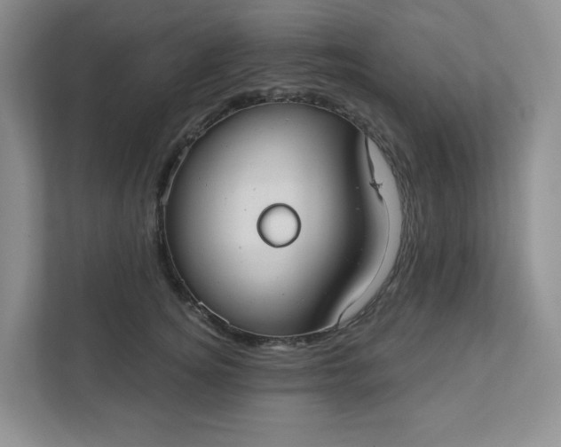 X0000111420756200907271143