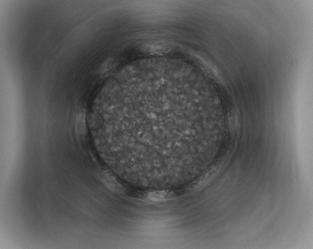 X0000111420757200907271143