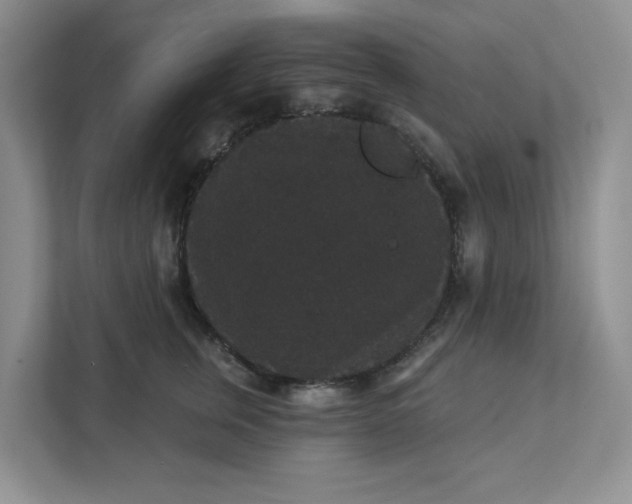 X0000111420759200907271143