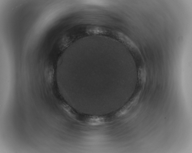 X0000111420760200907271143