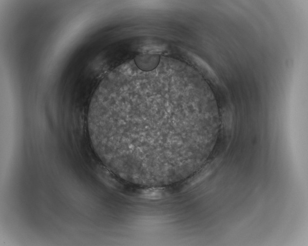 X0000111420761200907271143