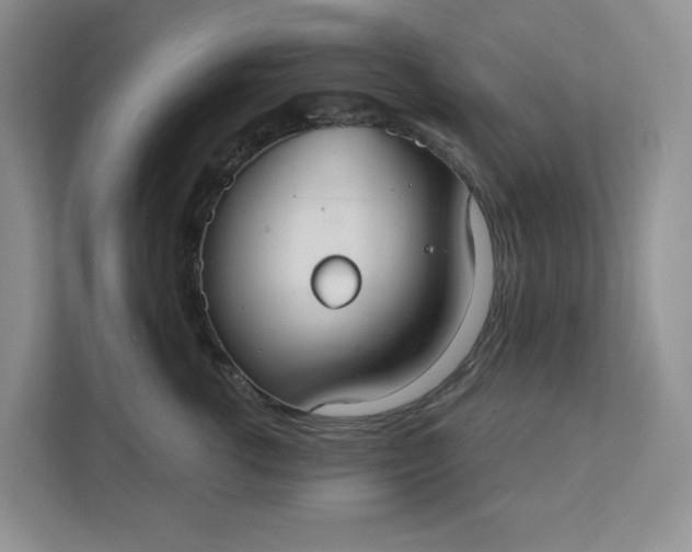 X0000111420762200907271143