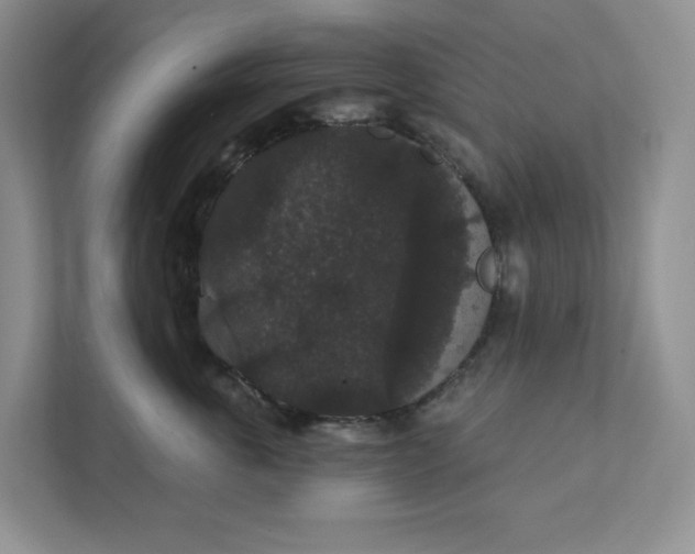 X0000111420763200907271143