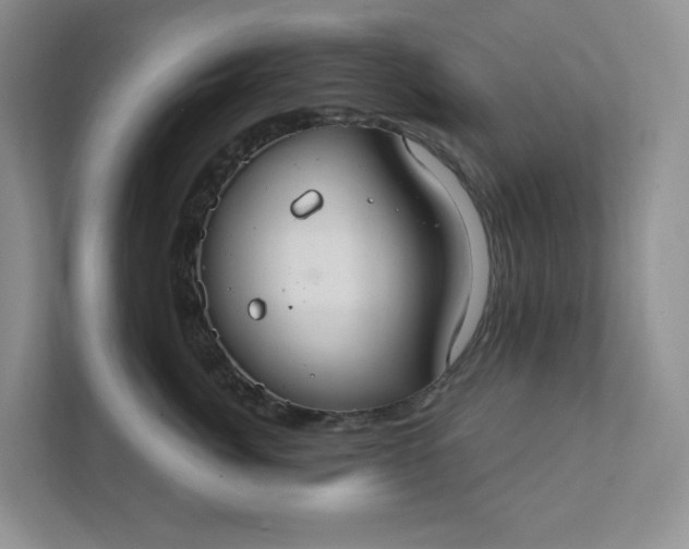 X0000111420764200907271143