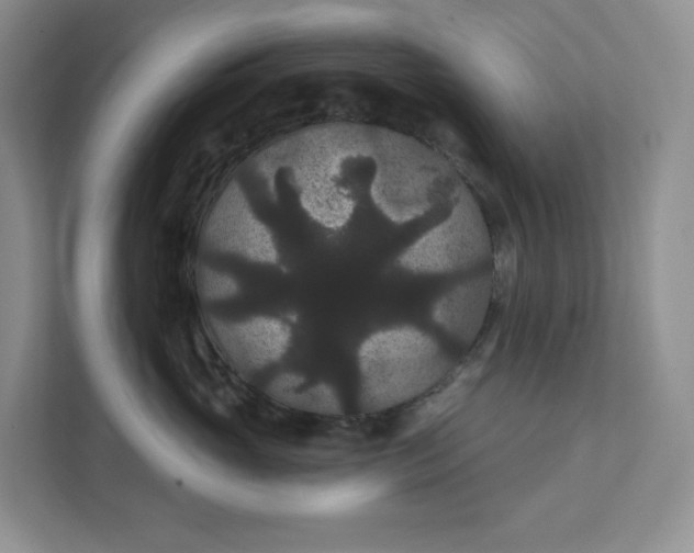 X0000111420765200907271143