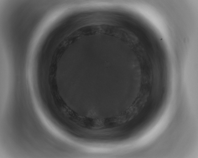 X0000111420766200907271143