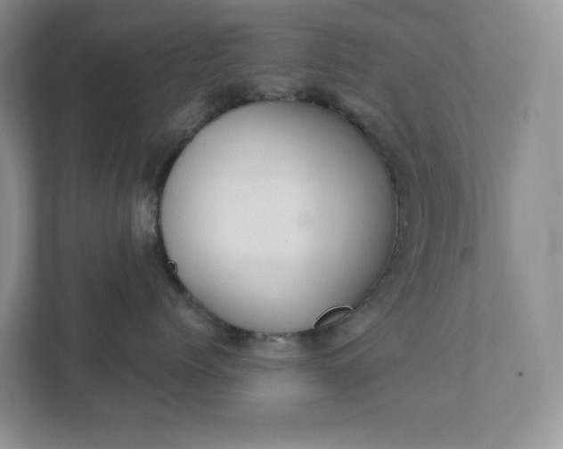 X0000111420768200907271143