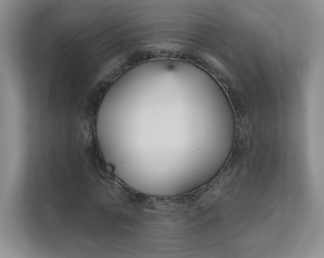 X0000111420774200907271142