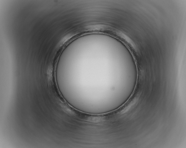 X0000111420778200907271142