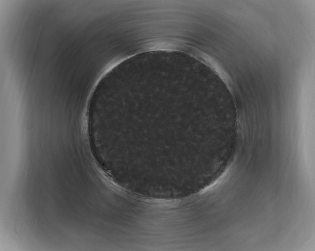 X0000111420779200907271142