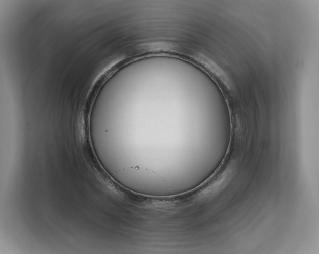 X0000111420782200907271142