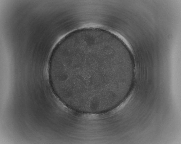 X0000111420783200907271142