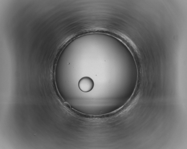 X0000111420785200907271142