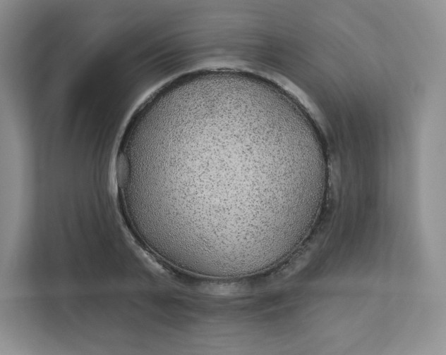 X0000111420791200907271142