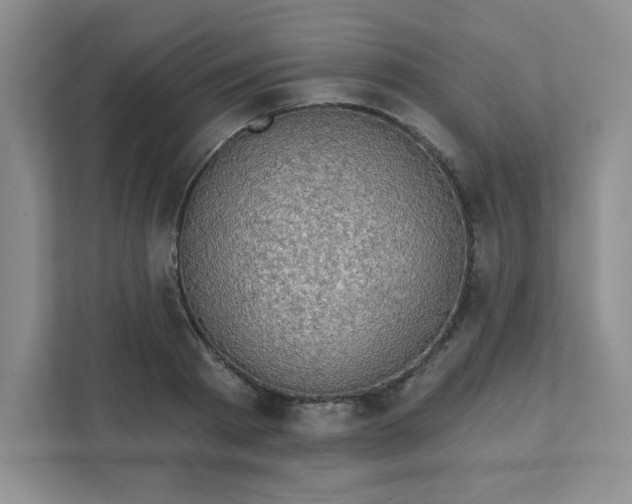 X0000111420793200907271142