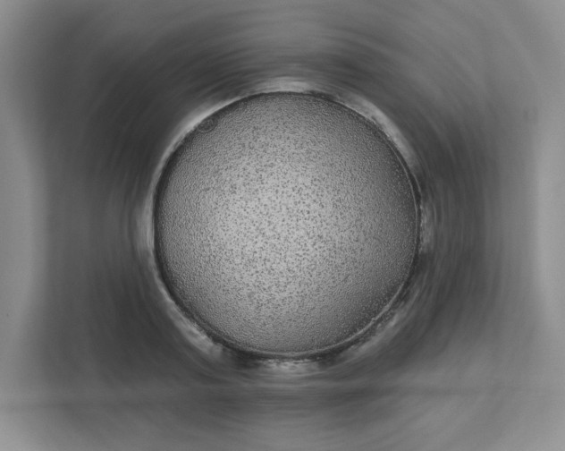 X0000111420795200907271142