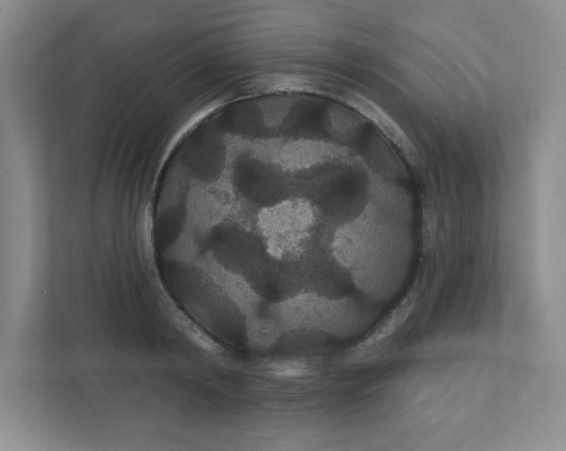 X0000111420798200907271142