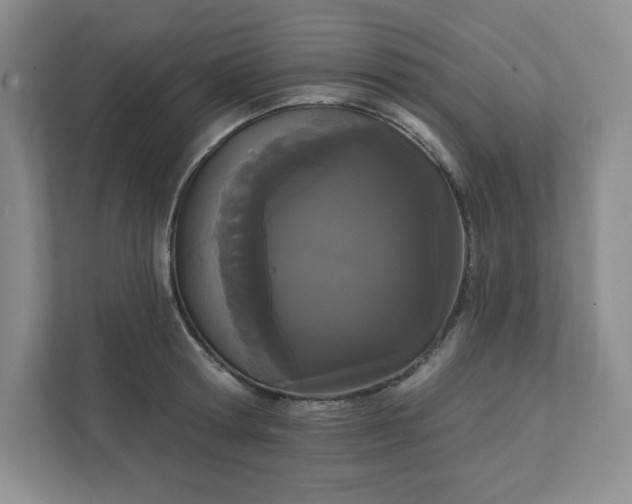 X0000111420802200907271142