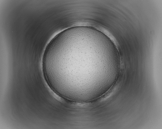 X0000111420803200907271142