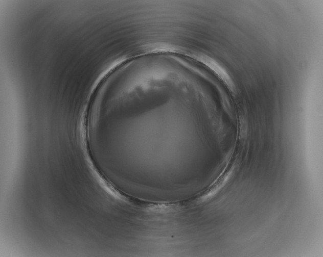 X0000111420806200907271142