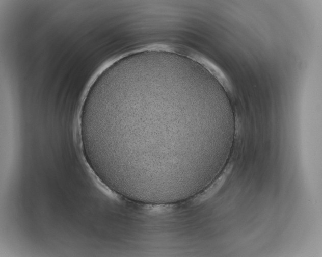 X0000111420808200907271142