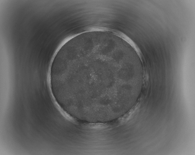 X0000111420811200907271142