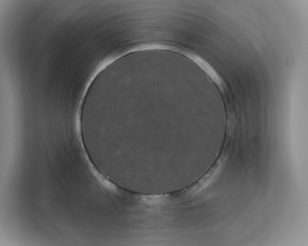 X0000111420813200907271141