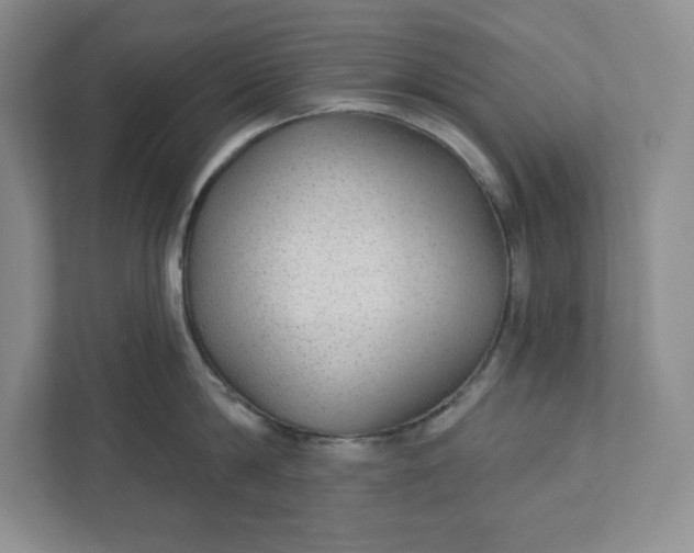 X0000111420814200907271141