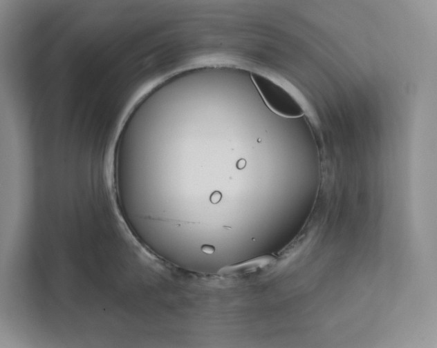 X0000111420815200907271141