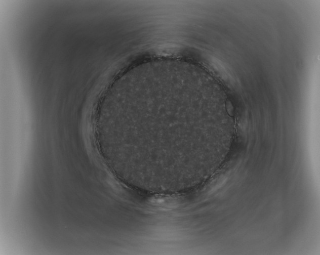 X0000111420817200907271141