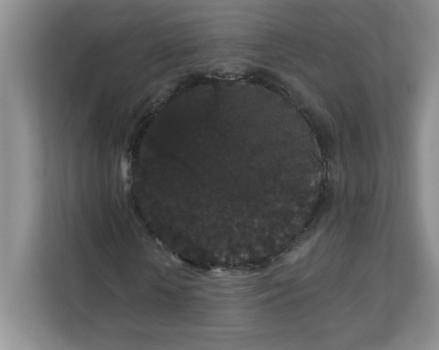 X0000111420818200907271141