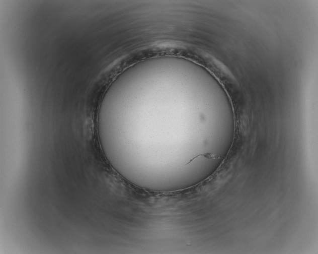 X0000111420821200907271141