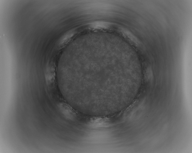 X0000111420824200907271141