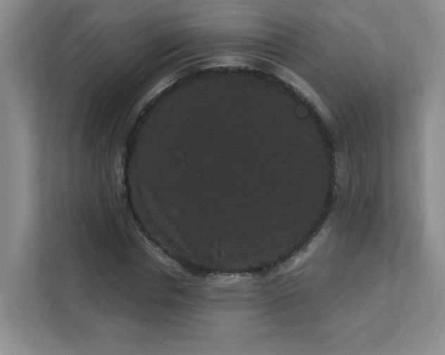 X0000111420826200907271141