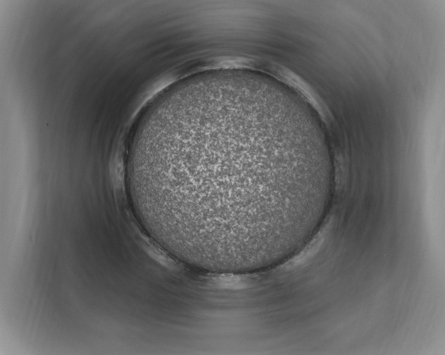 X0000111420827200907271141