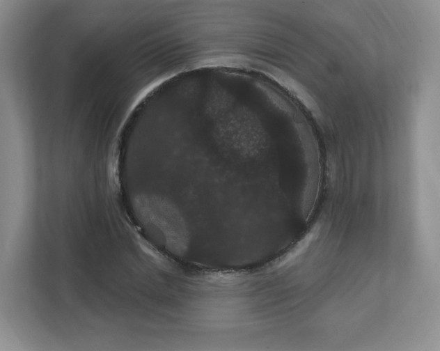 X0000111420830200907271141